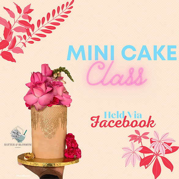 Mini Cake Class